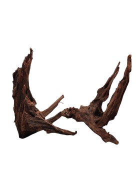 Driftwood 30-40cm (pcs)