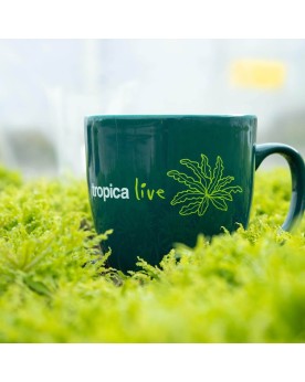 Tropica Live Mug Limnobium