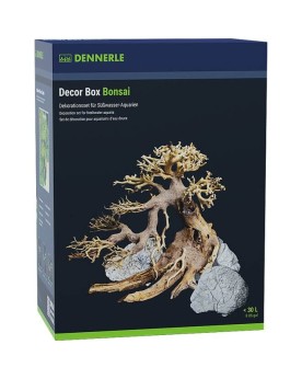 Dennerle Décor Box Bonsaï