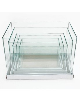 Ista Glass Tank Curved 35x19x25cm