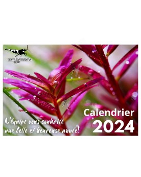 Calendrier Skaii and Shrimps 2024 - A4 Calendrier Skaii and Shrimps...