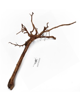 Dark Snake Wood - M - 20-30cm
