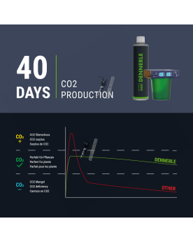 Dennerle Carbo Bio Start 60 Système de fertilisation au bio CO2 pou...