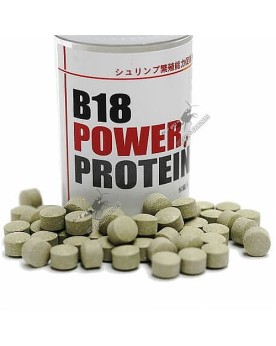 Lowkeys B18 Power Protein
