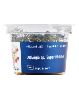 Ludwigia sp.  Super Mini red - Aqua-art
