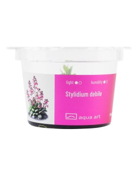 Stylidium debile - Aqua-art Stylidium debile, également connu sous ...