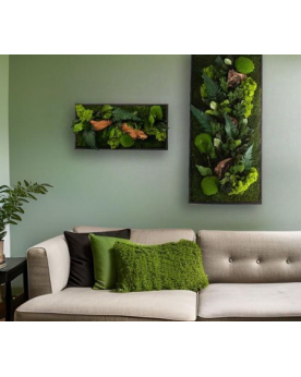 Tableau Stabilisé Nature - 57x27cm  Tableau végétal avec plantes et...