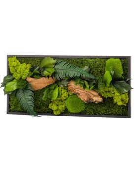 Tableau Stabilisé Canopé - 57x27cm Tableau végétal avec plantes et ...