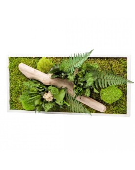 Tableau Stabilisé Nature - 57x27cm  Tableau végétal avec plantes et...