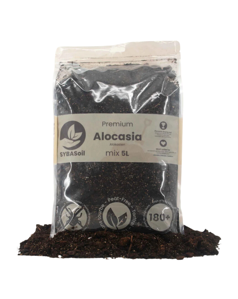 Sybotanica Alocasia Mix - 5L Alocasia Mix est un substrat complet p...