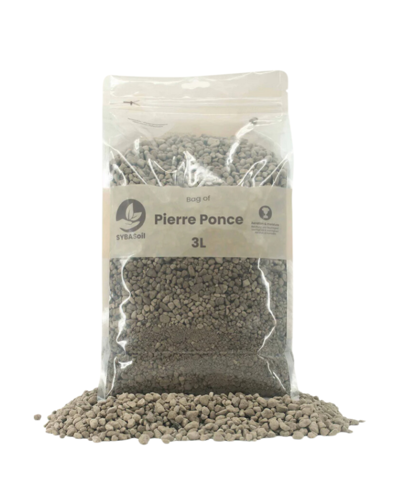 Sybotanica Pumice 2-8mm - 3L Pierre Ponce, idéal pour le drainage e...