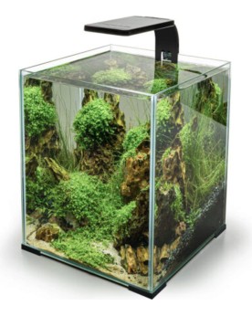 Eclairage pour Aquarium