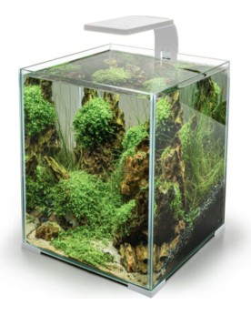 Eclairage pour Aquarium