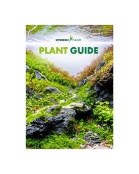 Dennerle - Guide des Plantes D'aquarium 2020-2021 Francais