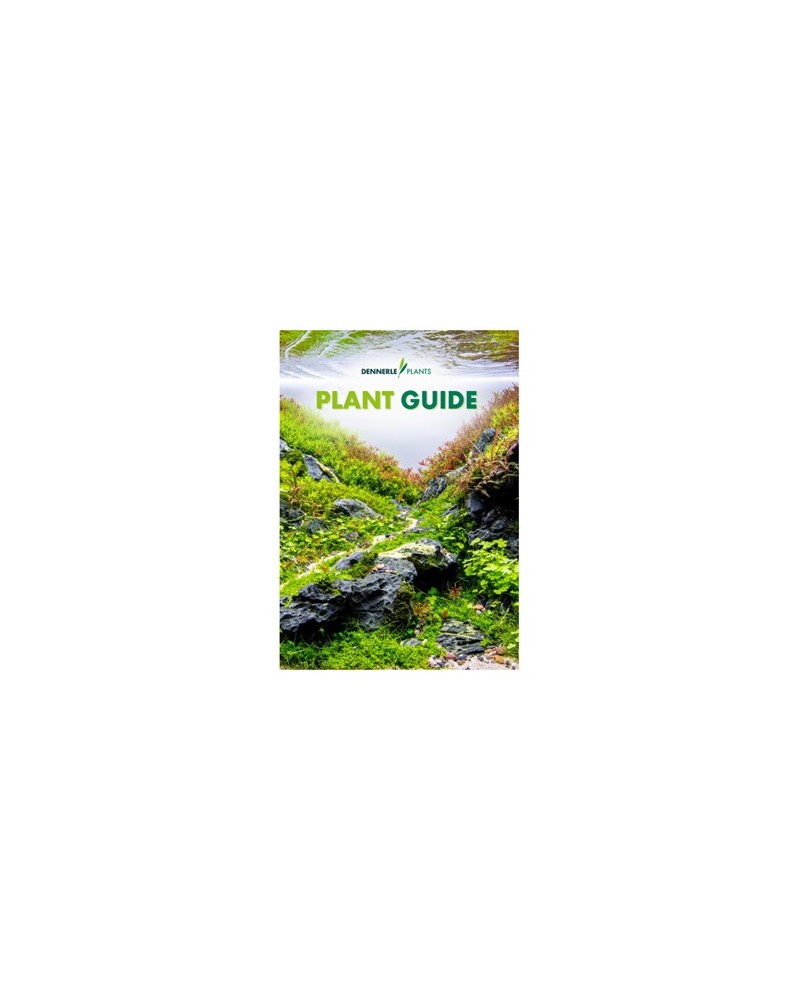 Dennerle - Guide des Plantes D'aquarium 2020-2021 Francais