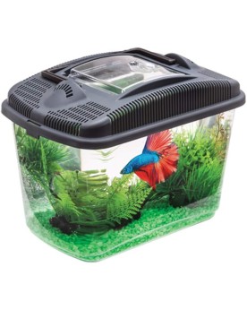 Aquael - Betta Kit Aquael Betta Kit. Un kit qui peut servir de bac ...