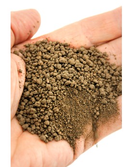 Dennerle Substrate 1L Dennerle Substrate est un substrat de fond de...