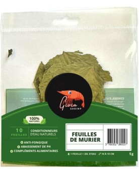 Gioia Shrimp - Feuilles de Mûrier x10 Feuilles de mûrier Gioia Shri...