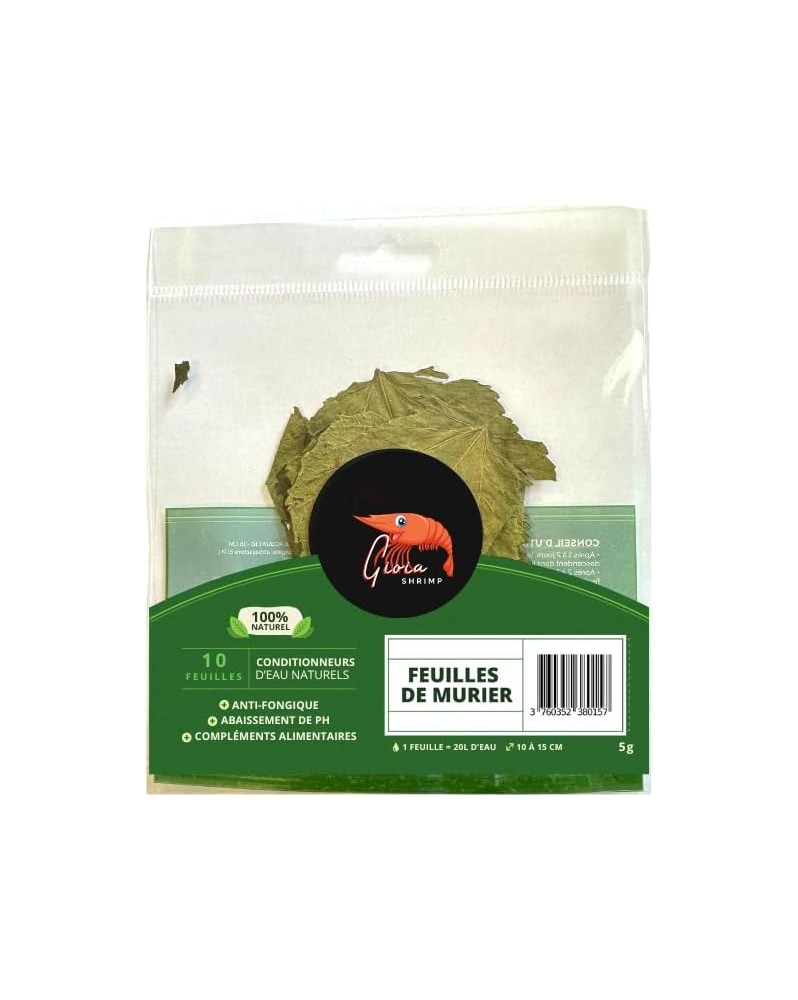 Gioia Shrimp - Feuilles de Mûrier x10 Feuilles de mûrier Gioia Shri...