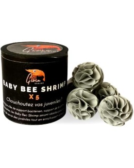 Gioia Shrimp - Baby Bee Shrimp x5 Prenez soin des juvéniles avec ce...