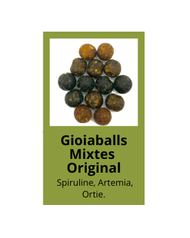 Gioia Shrimp - Balls Mixte Balls Mixte Gioia Shrimp. Boules de nour...