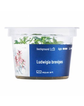 Ludwigia brevipes - Aqua-art Ludwigia brevipes Souvent confondue av...