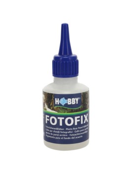 Hobby - Fotofix - Colle pour Poster de Fond 50ml  Hobby FotoFix , c...