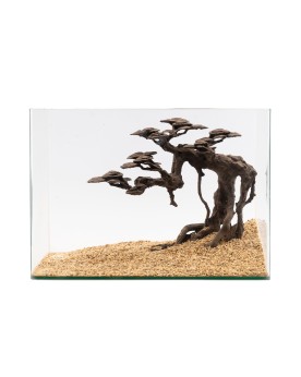 NaturHolic - Stone bonsaï - Senki  Le NatureHolic - Stone Bonsai - ...