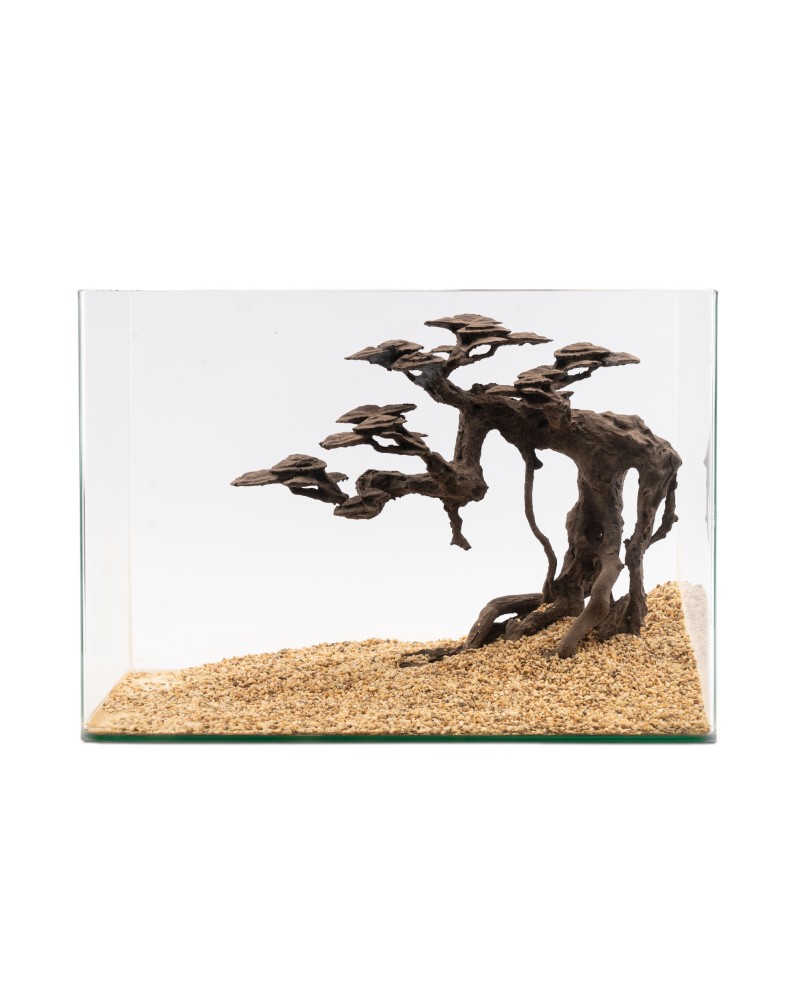 NaturHolic - Stone bonsaï - Senki  Le NatureHolic - Stone Bonsai - ...