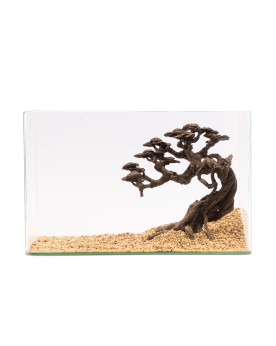 NaturHolic - Stone bonsaï - Kengaï  Le NatureHolic - Stone Bonsai -...