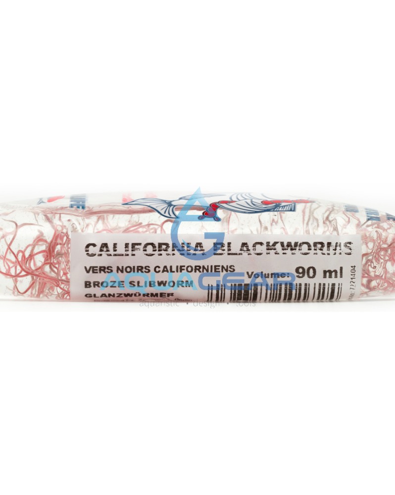 Vers Noirs Californiens Vivants - 90ml Vers luisants - Blackworm no...