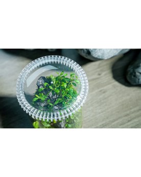 Chihiros - Glass Pot Dew S Le Chihiros Glass pot Dew S est un petit...