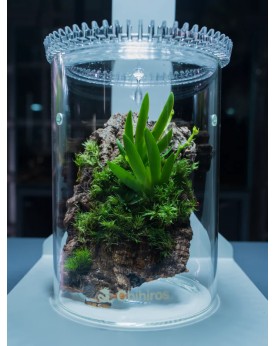 copy of Chihiros Tiny Terrarium Egg