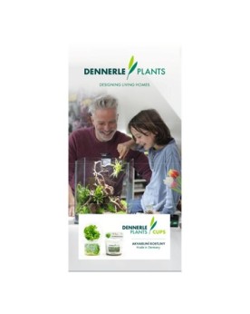 Flyer Cups Dennerle Guide d'information sur les plantes In Vitro De...