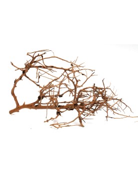 Drifwood "Branch" max 30cm