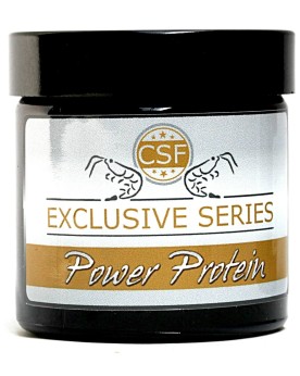 CSF Exclusiv Serie Power Protein 35g