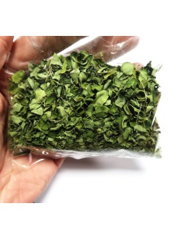 Feuilles de Moringa - Sachet de 10g