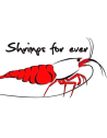 Shrimps Forever