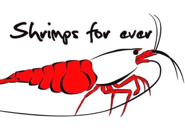 Shrimps Forever